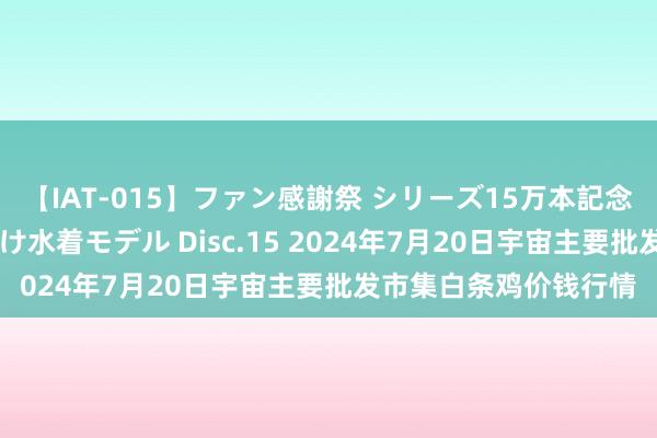 【IAT-015】ファン感謝祭 シリーズ15万本記念 これが噂の痙攣薬漬け水着モデル Disc.15 2024年7月20日宇宙主要批发市集白条鸡价钱行情