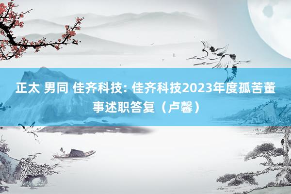 正太 男同 佳齐科技: 佳齐科技2023年度孤苦董事述职答复(卢馨)