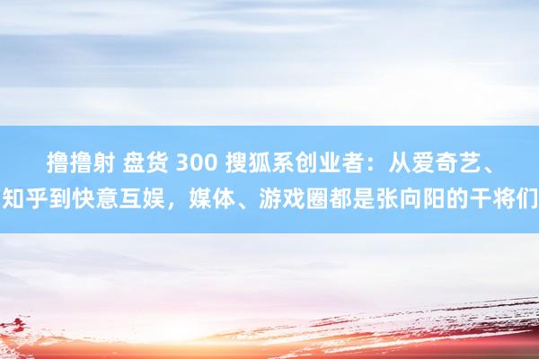 撸撸射 盘货 300 搜狐系创业者：从爱奇艺、知乎到快意互娱，媒体、游戏圈都是张向阳的干将们
