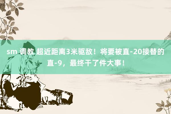 sm 调教 超近距离3米驱敌！将要被直-20接替的直-9，最终干了件大事！
