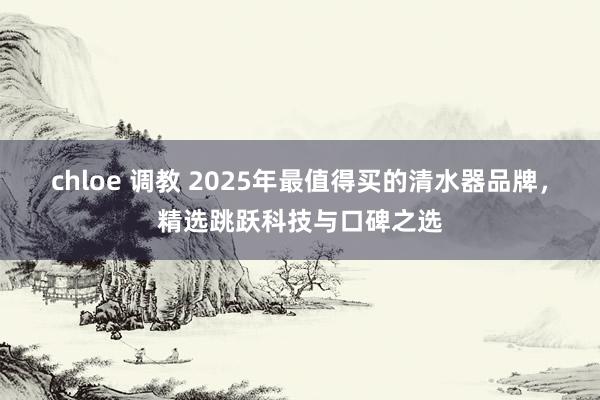 chloe 调教 2025年最值得买的清水器品牌，精选跳跃科技与口碑之选
