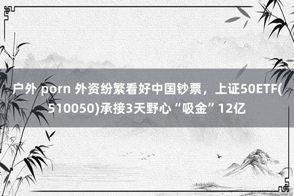 户外 porn 外资纷繁看好中国钞票，上证50ETF(510050)承接3天野心“吸金”12亿