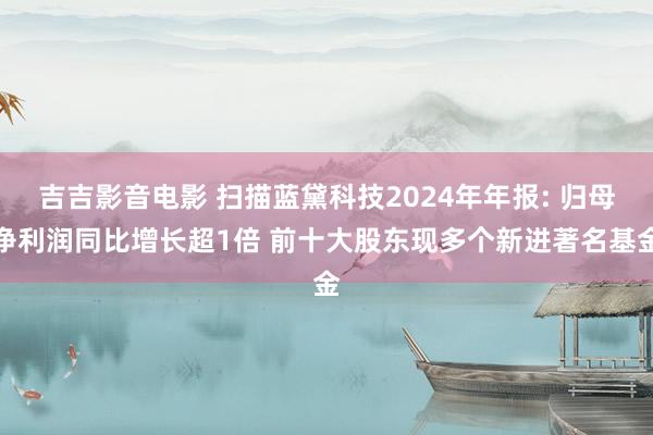 吉吉影音电影 扫描蓝黛科技2024年年报: 归母净利润同比增长超1倍 前十大股东现多个新进著名基金