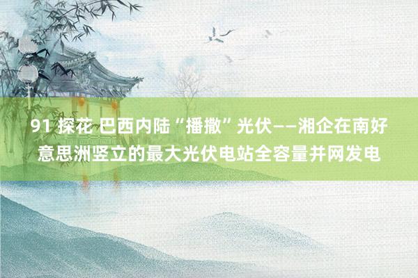 91 探花 巴西内陆“播撒”光伏——湘企在南好意思洲竖立的最大光伏电站全容量并网发电