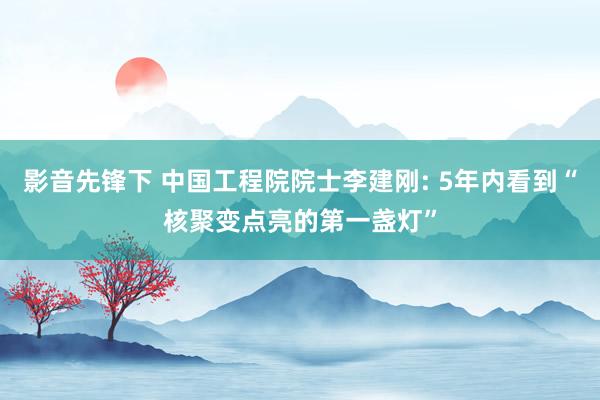 影音先锋下 中国工程院院士李建刚: 5年内看到“核聚变点亮的第一盏灯”