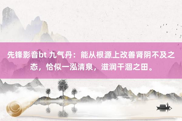 先锋影音bt 九气丹：能从根源上改善肾阴不及之态，恰似一泓清泉，滋润干涸之田。