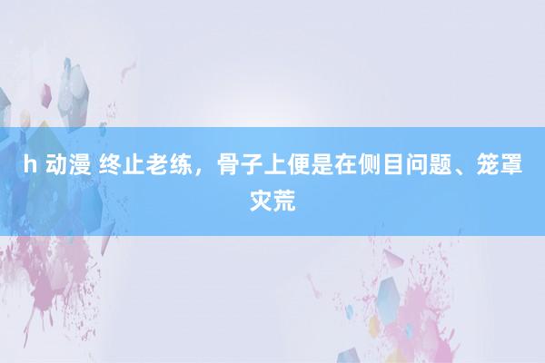 h 动漫 终止老练，骨子上便是在侧目问题、笼罩灾荒